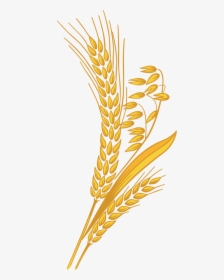 Clip Art Grain Png - Transparent Background Wheat Clipart, Png Download, Free Download