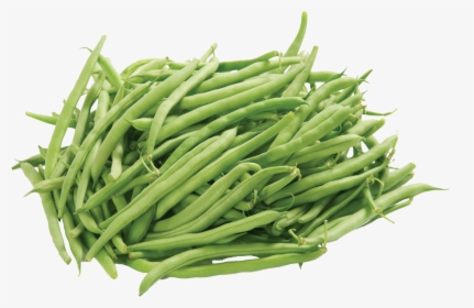 Green Beans Png Image - Green Bean Png, Transparent Png, Free Download