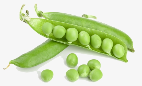 Green Beans Png, Transparent Png, Free Download