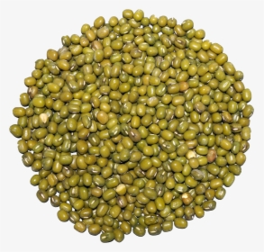 Mung Beans, HD Png Download, Free Download