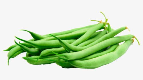 Green Beans Transparent - Green Beans Transparent Background, HD Png Download, Free Download