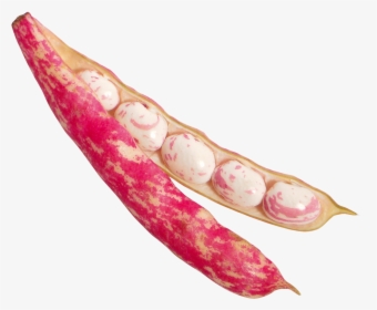 Vegetable Cutter Png Transparent Image - Png Beans, Png Download, Free Download