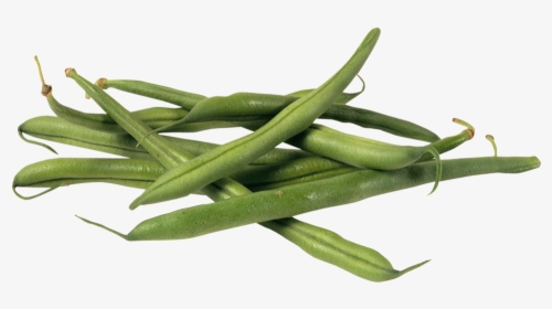 French Beans Square - Green Bean, HD Png Download, Free Download