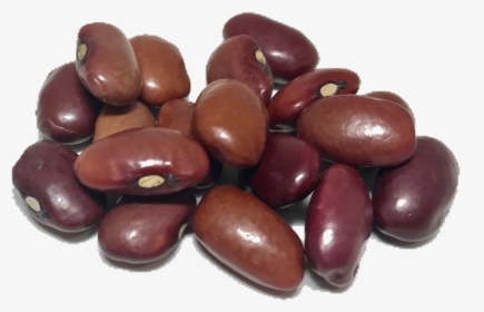 Dry Beans Png Transparent - Single Kidney Bean Transparent Background, Png Download, Free Download