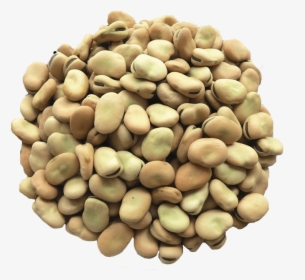 Transparent Pinto Bean Clipart - Fava Beans Png, Png Download, Free Download