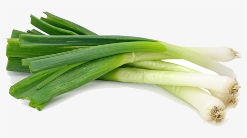 Dark Red Kidney Beans Png - Spring Onion Vs Scallion, Transparent Png, Free Download