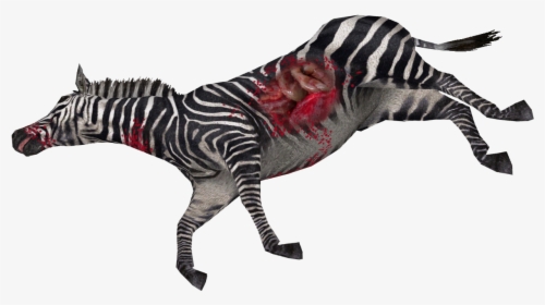Zebra Png High-quality Image - Dead Zebra Png, Transparent Png, Free Download