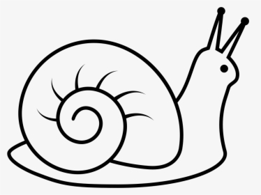 Snail - Snail Clipart Black And White, HD Png Download, Free Download