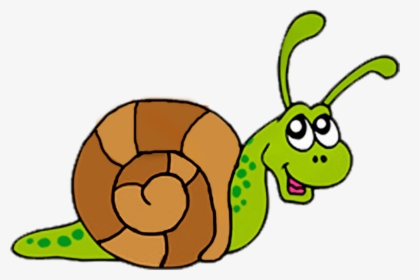 Snail Images Free Download Clipart - Snail Clipart, HD Png Download, Free Download