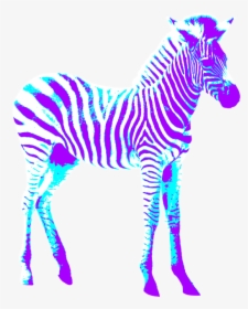 Zebra, Colorful, Art, Creative, Purple, Blue, Crosswalk - Zebra Invitacion De Cumpeaños, HD Png Download, Free Download