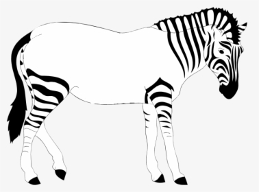 Print Out The Zebra - Zebra Lost His Stripes, HD Png Download, Free Download