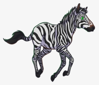 Zebra , Png Download - Zebra, Transparent Png, Free Download