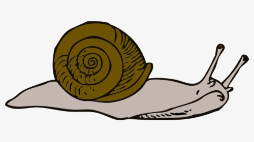 Snail Clip Art - Slow Snail Clipart, HD Png Download, Free Download