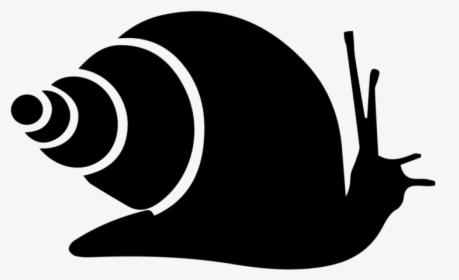 Snail Icon Png, Transparent Png, Free Download