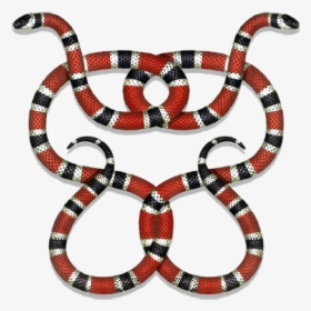 #gucci #guccigang #snakes #guccilogo #logo #sticker#png - Coral Snake Illustration, Transparent Png, Free Download