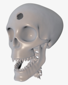 3d Skull Png, Transparent Png, Free Download