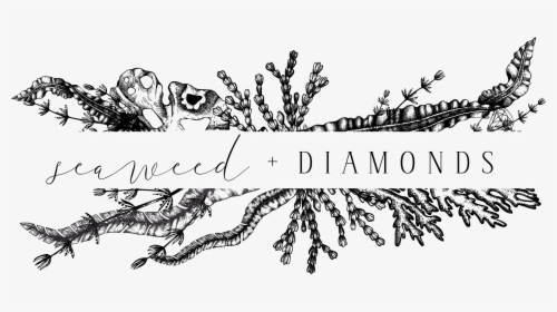 Seaweed And Diamonds - Illustration, HD Png Download, Free Download