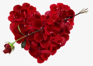 Transparent Real Heart Png - Valentines Day Flower Heart, Png Download, Free Download