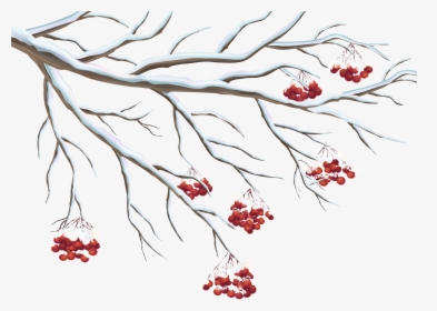 Snowy Berries Png Gallery - Winter Clip Art Transparent Background, Png Download, Free Download