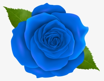 China-rose, HD Png Download, Free Download