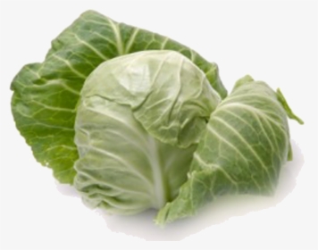 Download Cabbage Png - Cabbage Definition, Transparent Png, Free Download
