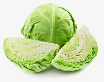 Transparent Cabbage Png - Cabbage Png, Png Download, Free Download