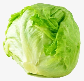 Cabbage - Iceberg Lettuce Png, Transparent Png, Free Download