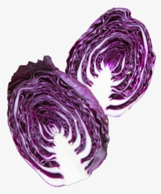 Purple Cabbage Png, Transparent Png, Free Download