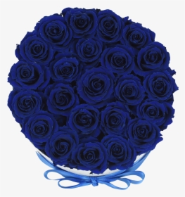 Royal Blue Roses In A Box"  Class="lazyload Lazyload - Circle, HD Png Download, Free Download