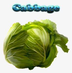 Cabbage Free Download Png - Brussels Sprout, Transparent Png, Free Download