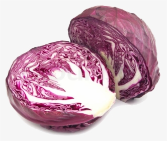 Purple Cabbage Png Image Background - Purple Cabbage Transparent Background, Png Download, Free Download