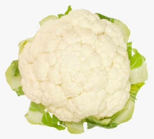 Cabbage Png Free Image Download - Cauliflower, Transparent Png, Free Download