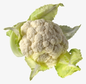 Download For Free Cabbage Transparent Png File - Cauliflower Cabbage Transparent, Png Download, Free Download