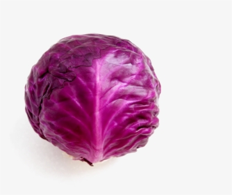 Purple Cabbage Png - 紫色 高麗 菜 營養, Transparent Png, Free Download