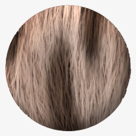 Hair Texture - Circle, HD Png Download, Free Download
