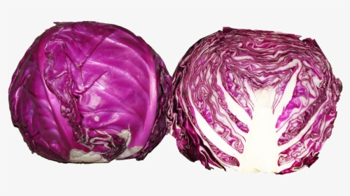 Vegetable, Red Cabbage, Food, Healthy, Cooking - Red Cabbage Png, Transparent Png, Free Download