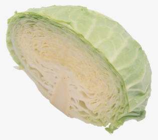 Cabbage Png Free Image Download - Cabbage, Transparent Png, Free Download