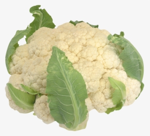 Transparent Cauliflower Clip Art, HD Png Download, Free Download