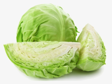 Cabbage Png Transparent Images - Cabbage Vegetable, Png Download, Free Download