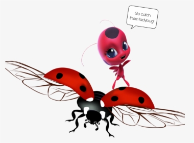 #freetodraw #like #ladybug #ladybugs #comedy #stickers, HD Png Download, Free Download