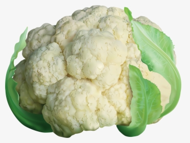 Cabbage Clipart Cauliflower - Cauliflower Png, Transparent Png, Free Download