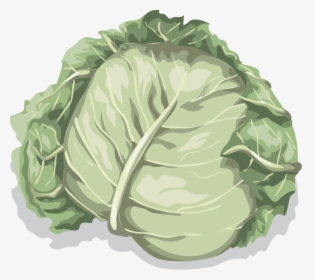 Png Cartoon Lettuce, Transparent Png, Free Download