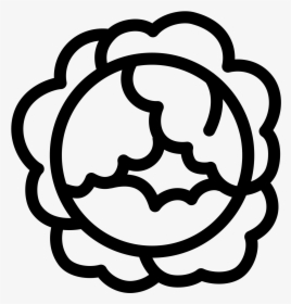 Cabbage Png, Transparent Png, Free Download