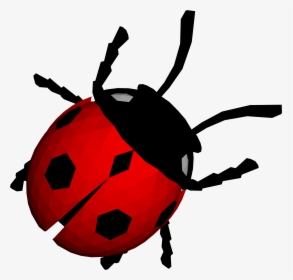 Ladybug Transparent Free Png, Png Download, Free Download