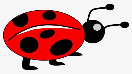 Download Red Ladybug Png Free Download - Bug Picture For Kids, Transparent Png, Free Download