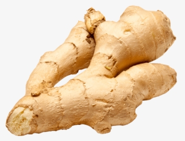 Ginger Png - Adrak, Transparent Png, Free Download