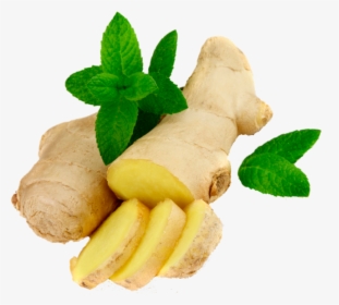 Now You Can Download Ginger Png Image Without Background - Transparent Background Ginger Png, Png Download, Free Download