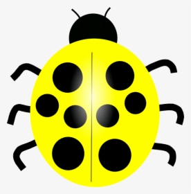 Transparent Bug Clip Art - Different Colored Ladybugs Clipart, HD Png Download, Free Download