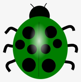 Ladybug Clip Art, HD Png Download, Free Download