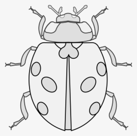 Ladybug Traceable, HD Png Download, Free Download